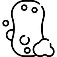 eponge eponge